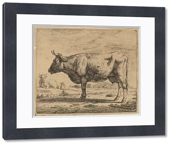 Two Cows and a Sheep, c. 1657 / 1659. Creator: Adriaen van de Velde