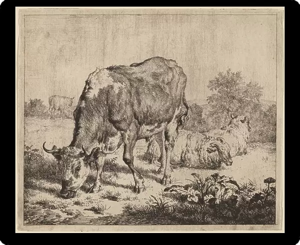 Spotted Bull and Three Sheep, 1670. Creator: Adriaen van de Velde