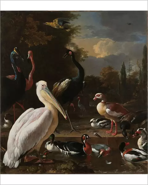 A Pelican and other Birds near a Pool, Known as ‘The Floating Feather, c.1680. Creator: Melchior d'Hondecoeter