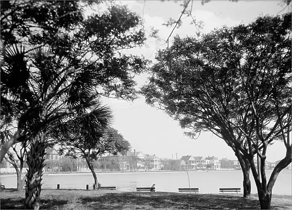Colonial Lake, Charleston, S.C. between 1900 and 1910. Creator: Unknown