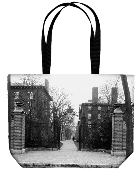 Holworthy Gate, Harvard University, Mass. between 1900 and 1905. Creator: Unknown