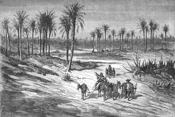 Palm groves of Elche, near Alicante; Notes on Spain, 1875. Creator: Unknown