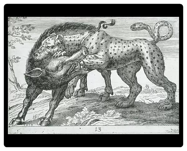 A Leopard Fighting a Boar, 1610. Creator: Hendrick Hondius I