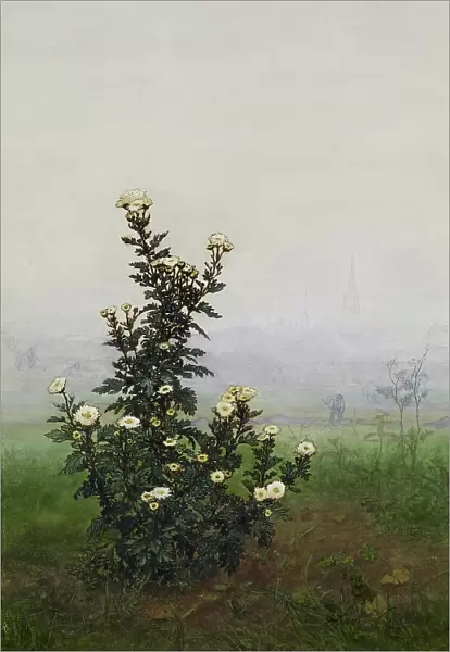 Feverfew in front of a Landscape, Issy-les-Moulineaux (?), 1863. Creator: Leon Bonvin