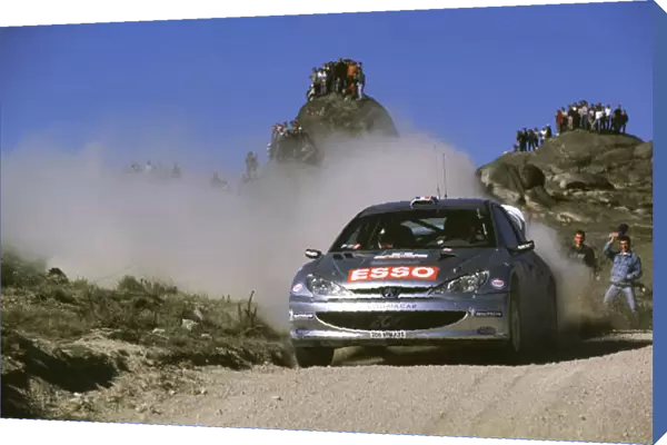 WRC-Marcus Gronholm and Timo Rautianen-Peugeot-action