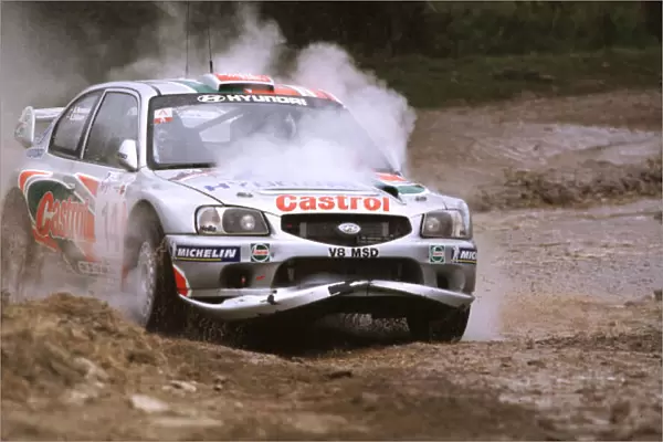 FIA World Rally-Kennith Eriksson and Staffan Parmander-Hyundai