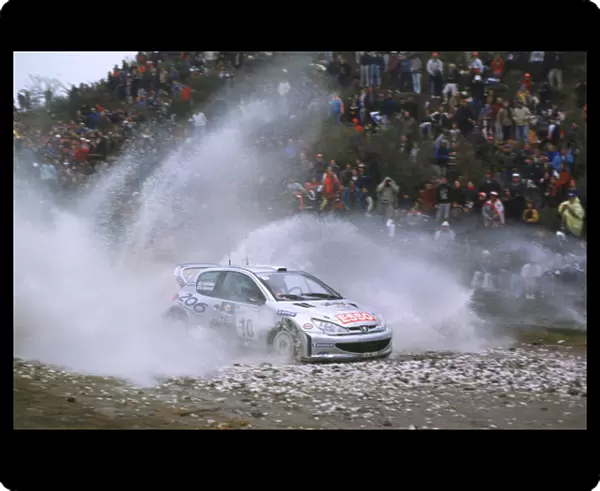 FIA World Rally-Marcus Gronholm and Timo Rautianen 2nd place