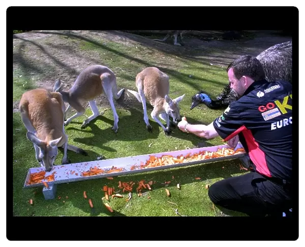 Formula One World Championship: Paul Stoddart KL Minardi Team Owner feeds an Emu and Kangaroos
