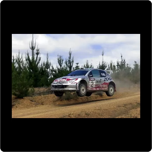 World Rally Championship: Didier Auriol Peugeot 206 WRC, on satge 19, finished in 3rd place. Day three