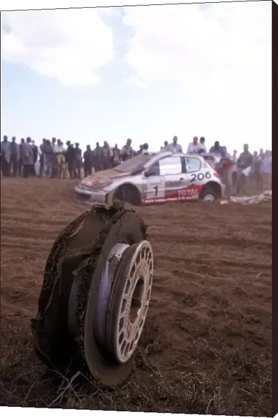 World Rally Championship: Richard Burns and Robert Reid were forced to retire when their 3-wheeled Peugeot 206 WRC became stuck in very soft