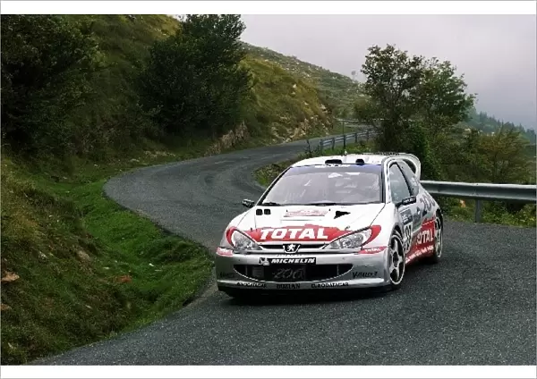 FIA World Rally Championship: Cedric Robert, Peugeot 206 WRC, on Stage 12
