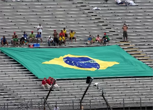 Formula One World Championship: Brazilian Flag