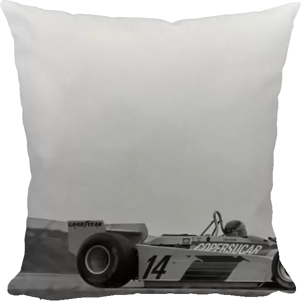 1979 Brazilian GP
