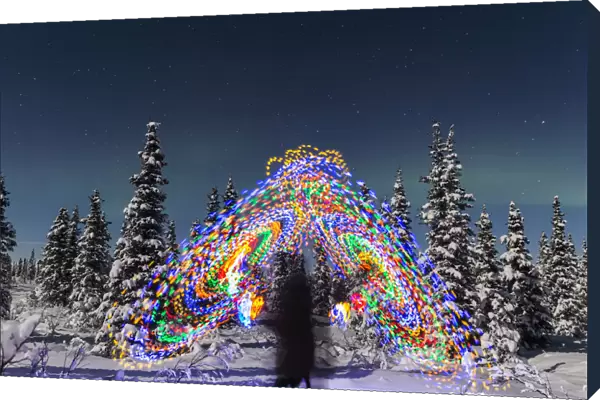 The Aurora Borealis Dances Over The Top Of A Vibrant Spiral Light Painting, The Blurry Figure Of A Man In The Middle Of The Light Painting, Moonlight Casting Shadows On Snow Covered Spruce Trees On A Clear Winter Night, Interior Alaska; Gakona, Alaska, United States Of America