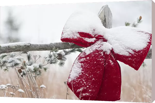 Fresh Snow On Holiday Bow And Decorations On Fence Post, Christmas Season; Minnesota, United States Of America