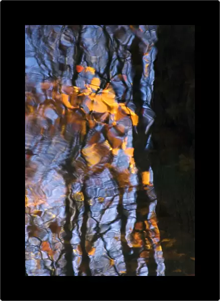 Waka, Massachusetts, Seekonk, Caratunk Wildlife Refuge, Tree Reflections On Water