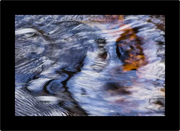 Dakota Rising, Massachusetts, Seekonk, Caratunk Wildlife Refuge, Water Patterns, Reflections And Leaves