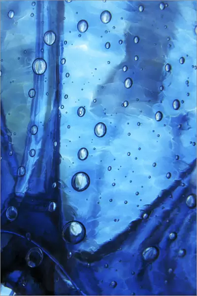 Trickster, Massachusetts, Seekonk, Caratunk Wildlife Refuge, Extreme Close-Up Of Water Droplets On Blue Surface