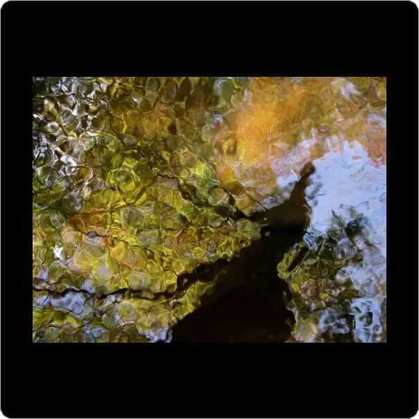 Second Earth, Massachusetts, Seekonk, Caratunk Wildlife Refuge, Colorful Glassy Reflections On Water