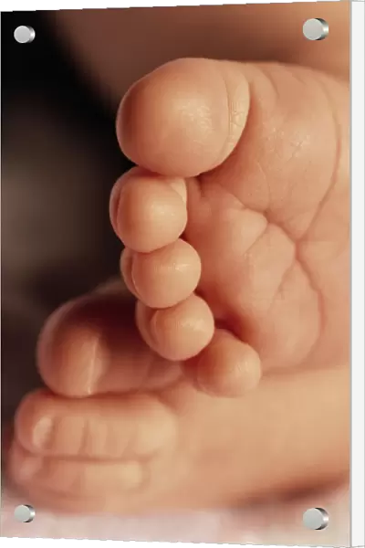 Babys Feet