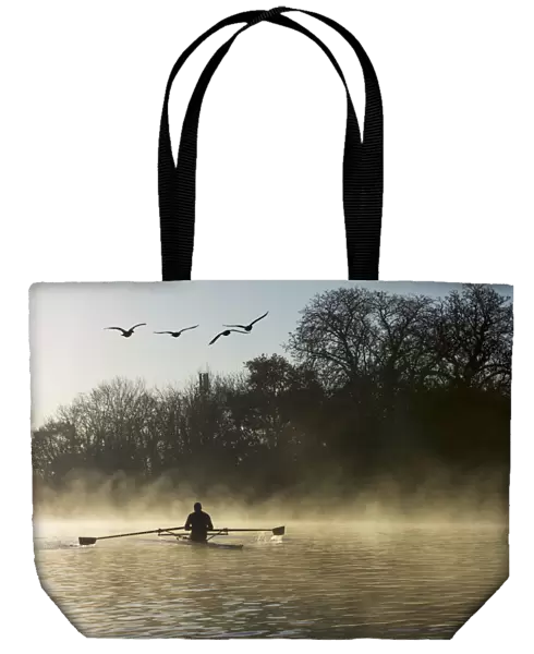 Sculling In Mist On River Thames; London, England