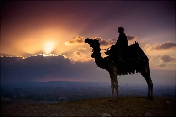 A Lone Camel And Rider Stand In Front Of The Setting Sun With The Giza Cityscape Behind Them; Giza, Egypt