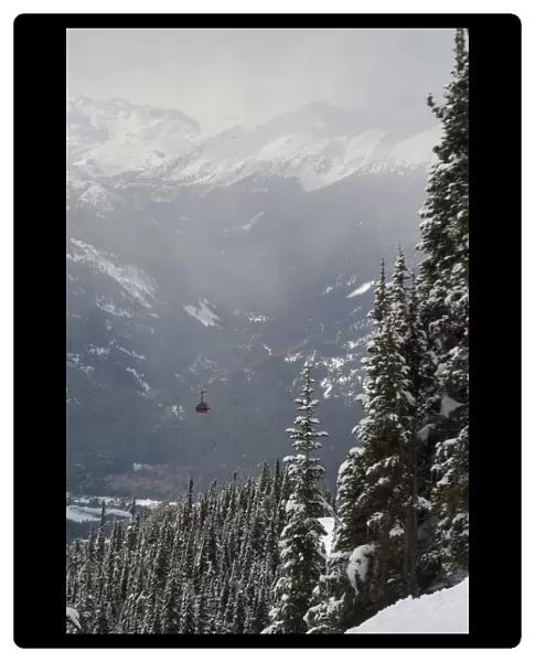 A Red Cable Car Riding Over The Snow Covered Forest; Whistler British Columbia Canada