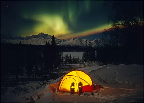 Tent Camping Winter Northern Lights Mile 135 Parks Hwy Ak Mt Mckinley Interior Snowshoes