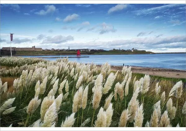 Littlehaven Bay And Herd Groyne Lighthouse; South Shields, Tyne And Wear, England