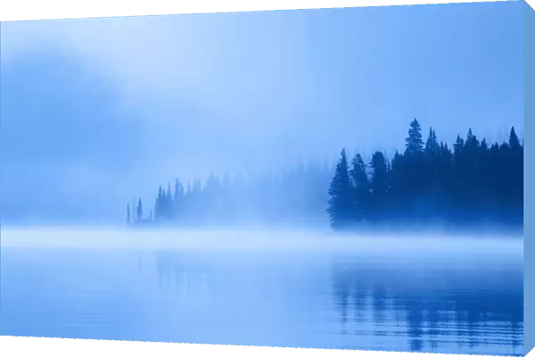 Foggy Lake