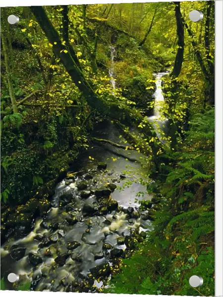 Glenariff, Co Antrim, Ireland; Waterfall