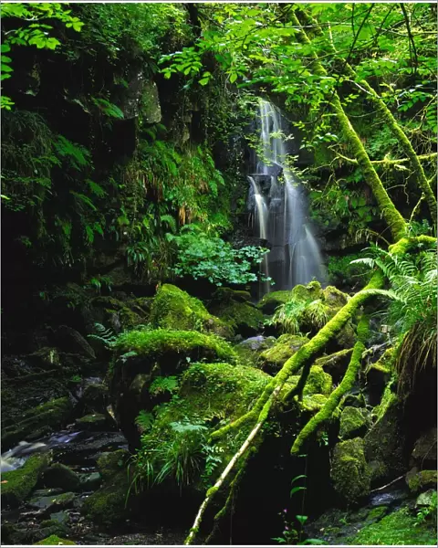 Waterfall, Sloughan Glen, Co Tyrone, Ireland