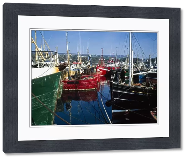 Greencastle, Lough Foyle, Co Donegal, Ireland; Boats At A Commercial Fishing Port