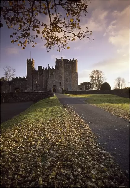Kilkea Castle, Co Kildare, Ireland; Road Leading To A 12Th Century Castle At Sundown