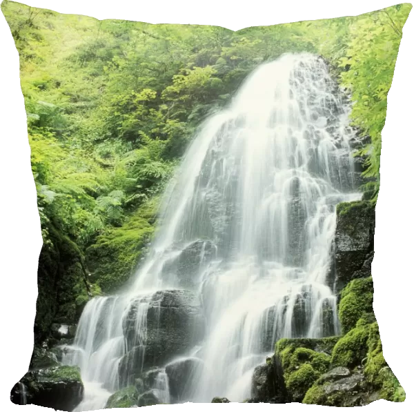 Fairy Falls, Columbia River Gorge, Oregon, Usa