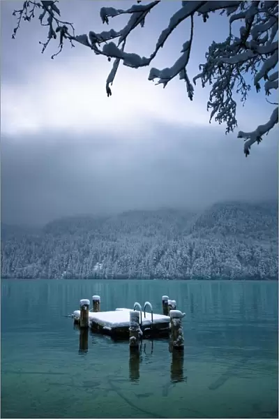 Snowy Dock Floating In Lake; Bellingham, Washington, Usa