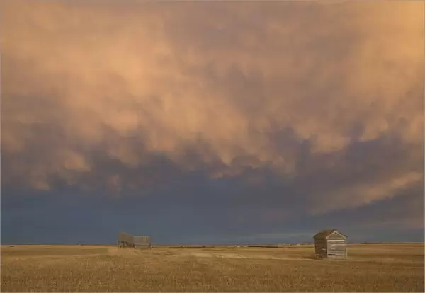 Alberta, Canada; A Wooden Shack On A Cut Wheat Field With A Dramatic Cloudy Sky At Sunset