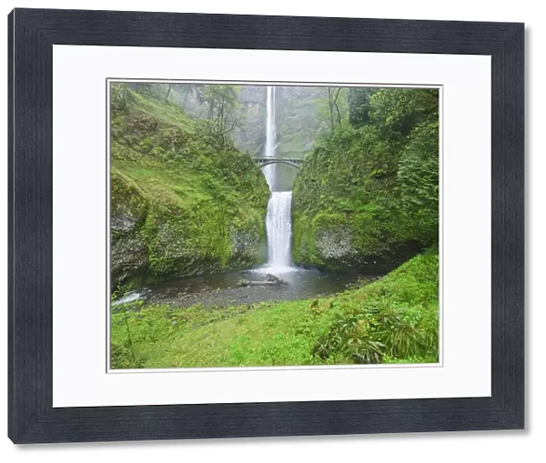Oregon, United States Of America; Multnomah Falls In Spring In Columbia River Gorge