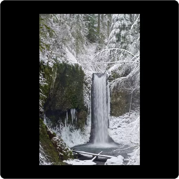 Oregon, United States Of America; Wiesendanger Falls In Winter In The Columbia River Gorge