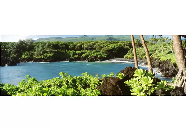 USA, Hawaii, Maui, Waianapanapa State Park; Hana, Black Sand Beach And Lush Greenery
