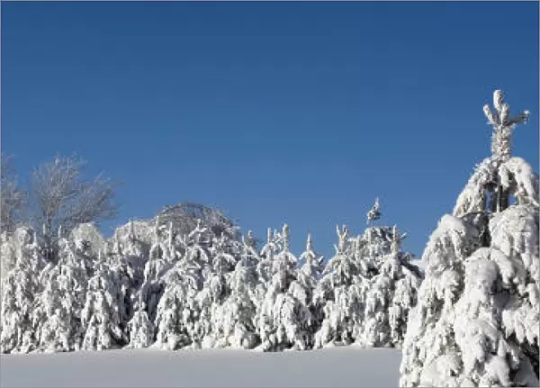 Canadian Winter Panorama; Foster Quebec Canada