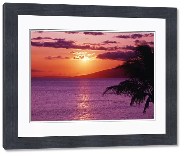 Hawaii, Maui, Beautiful Tropical Sunset With Palm Tree