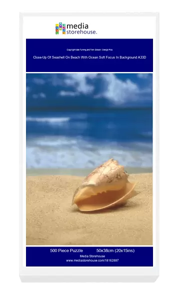Close-Up Of Seashell On Beach With Ocean Soft Focus In Background A33D