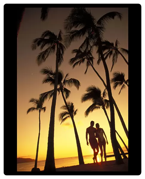 Silhouette Of Romantic Couple In Park At Sunset, Palm Trees, Ocean In Background