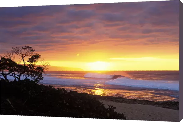 Hawaii, Oahu, North Shore, Waves Crashing At Sunset, Tree Silhouetted