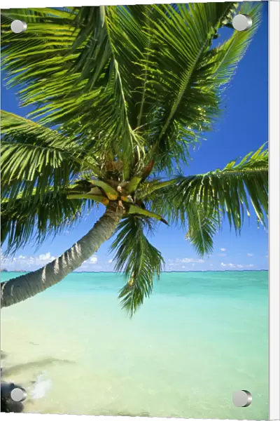 Beautiful View Of Clear Water, Palm Tree, Deep Blue Sky