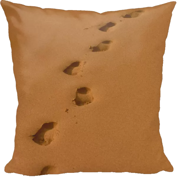 Deep Footprints On Smooth Sand
