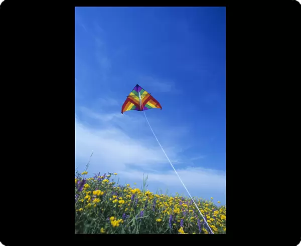 Kite Over Field, Winnipeg, Manitoba
