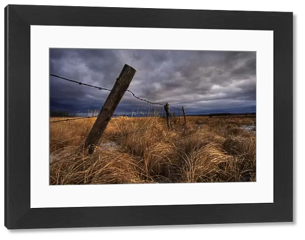 Barbed Wire Fence Posts With Dark Sky In Background, Alberta