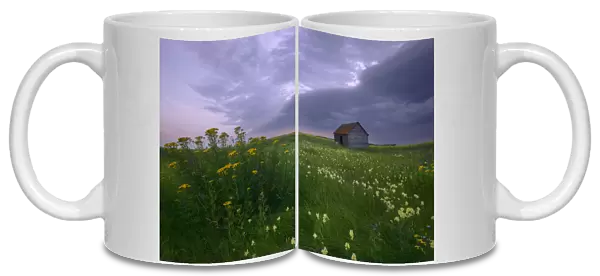 Prairie Wildflowers And An Old Farm Granary Under A Summer Storm In Central Alberta